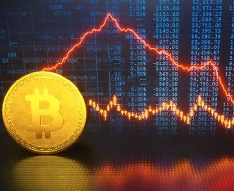 Algo Avonex Fin - Take control of your transactions with Algo Avonex Fin.