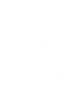 Algo Avonex Fin - ADVANCED TRADING SECURITY MEASURES
